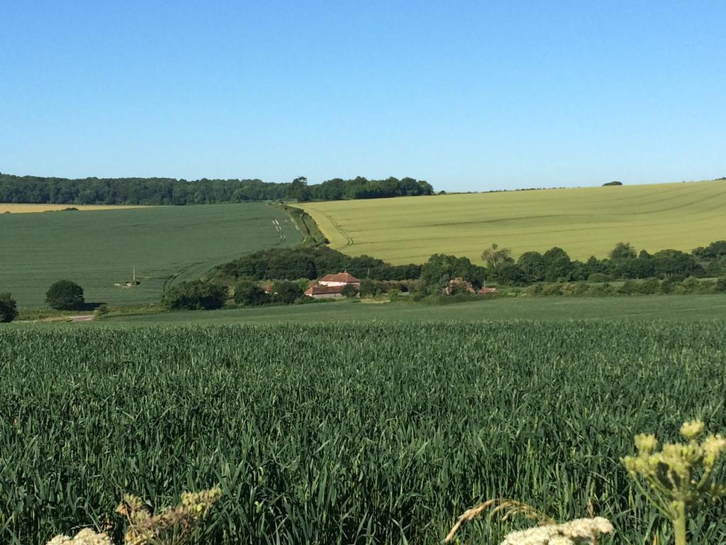 Shepherds Barn West Dean 外观 照片