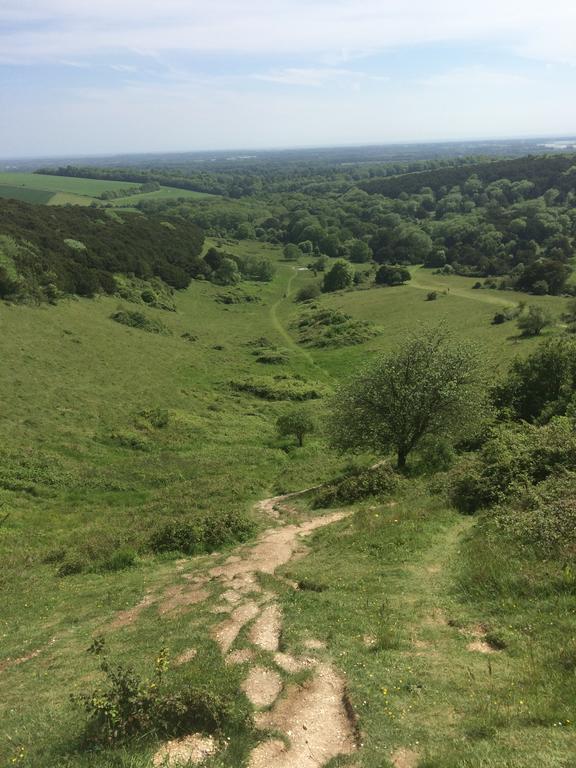 Shepherds Barn West Dean 外观 照片
